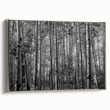 Framed canvas landscape art painting featuring a colorful Telluride, Colorado scene, ideal for living room decor.