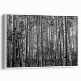 Vintage poster art of Telluride, Colorado with colorful landscape on extra large framed canvas, ideal for living room decor.