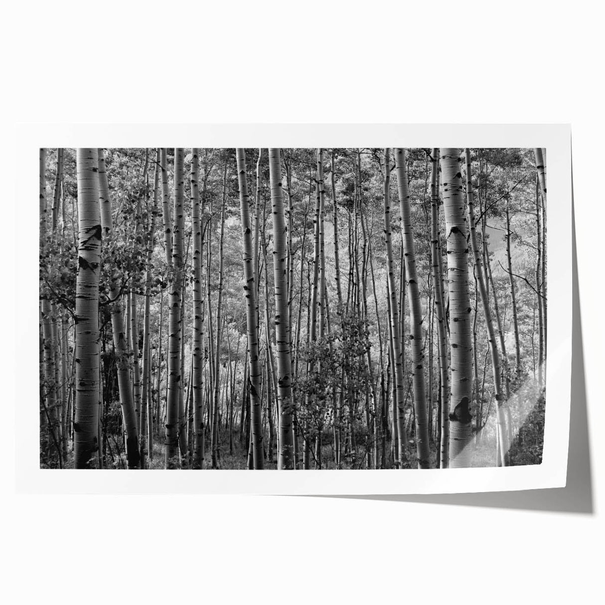 Rolled print of Telluride, Colorado scenery in muted earth tones, ideal for art wall dining room.