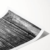 Extra large rolled print of Telluride, Colorado scenery with line art flowers in muted earth tones.