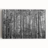 Black and white stretched canvas featuring a large-scale Telluride, Colorado mountain landscape, ideal for kitchen wall art.