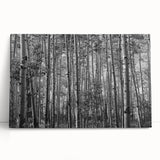 Black and white stretched canvas of Telluride, Colorado scenery, ideal for kitchen wall art or bedroom ambiance.