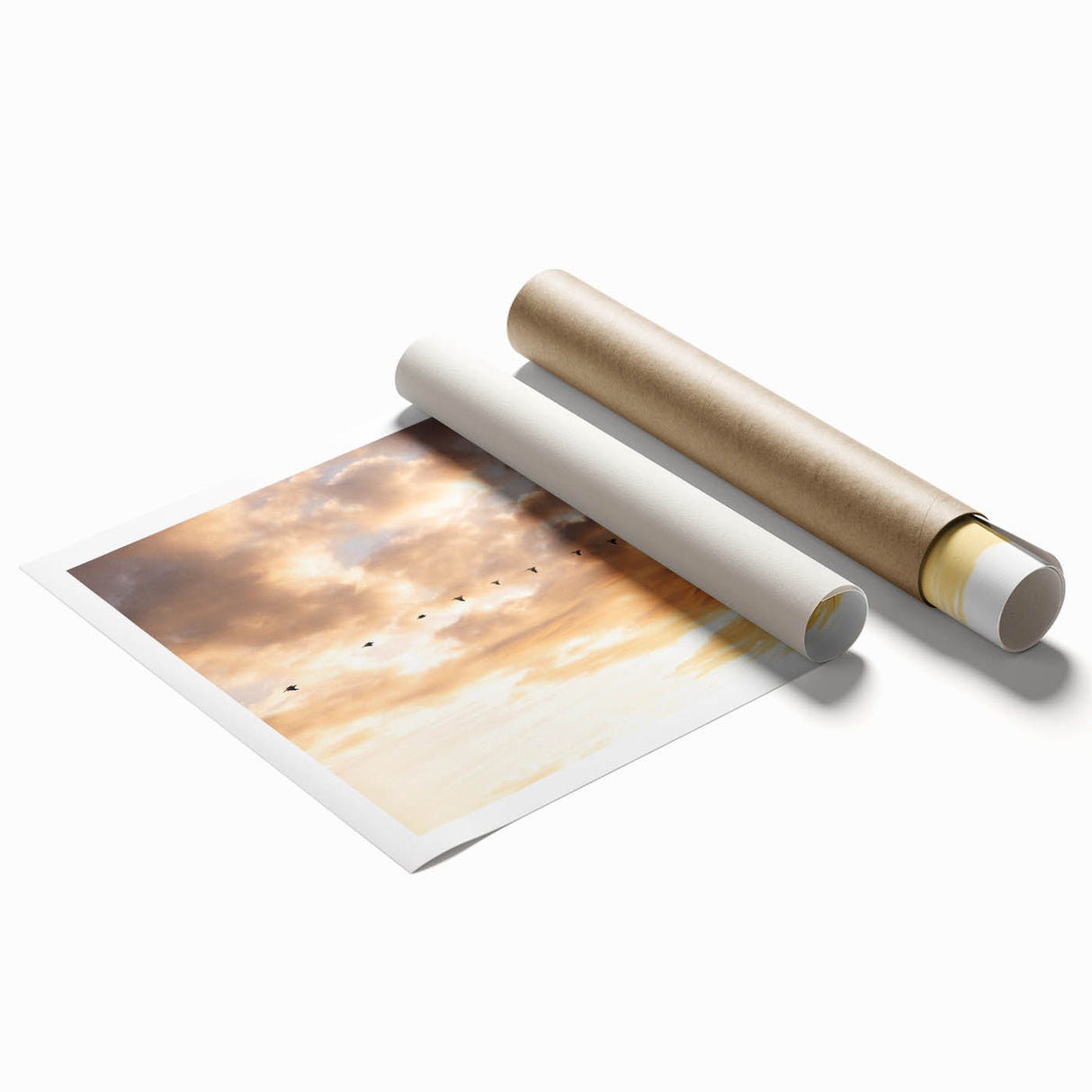 Extra large rolled print of the Everglades with lush greenery and water.