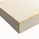 Large art depicting the Everglades landscape in black and white on stretched canvas, suitable for bedroom wall decor.