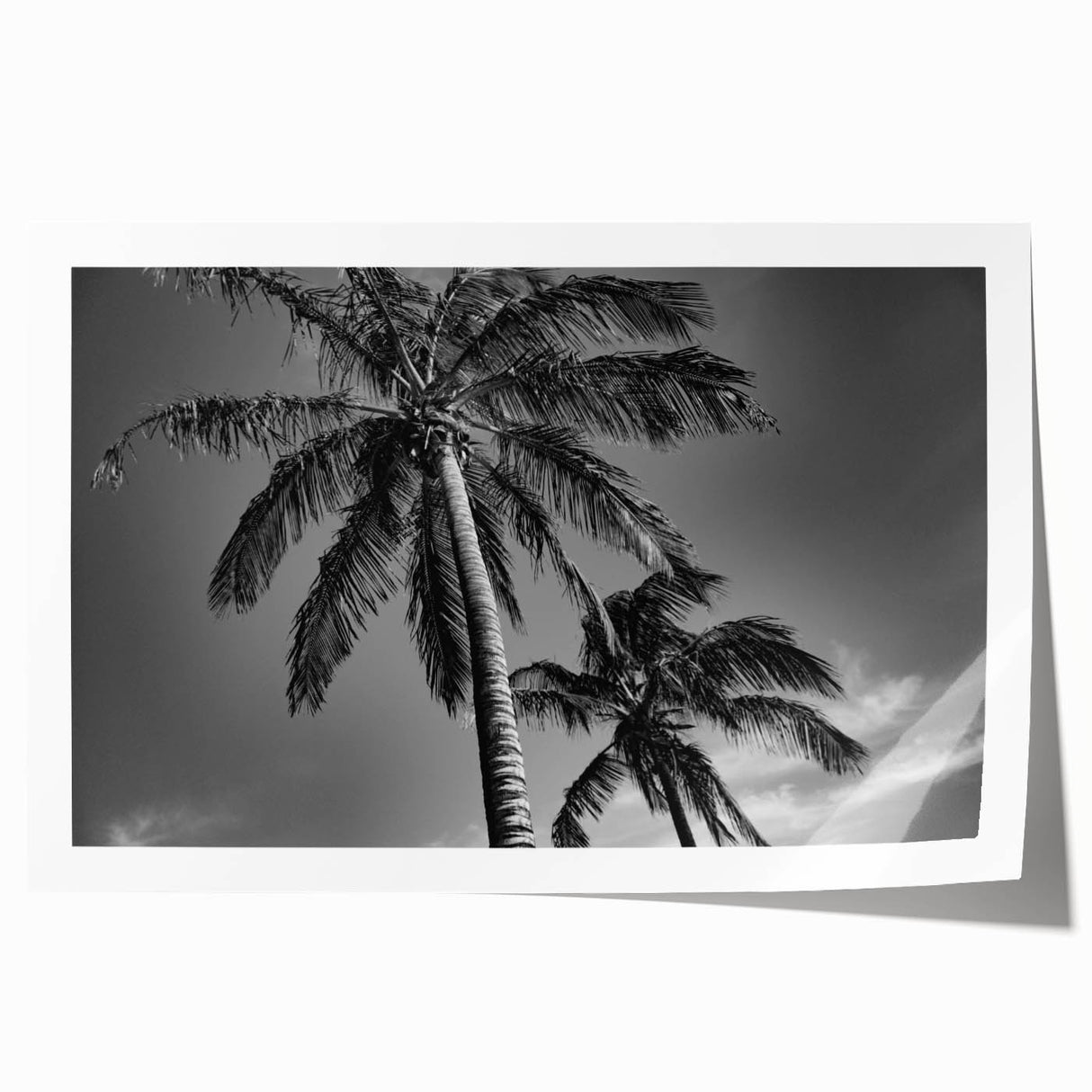 Extra large rolled print of Miami skyline with vibrant sunset hues, ideal for art wall dining room.