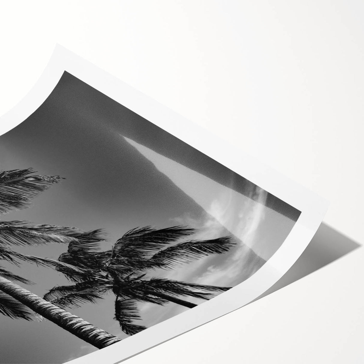 Extra large wall art featuring a line art of flowers in black and white, ideal for large living room spaces.