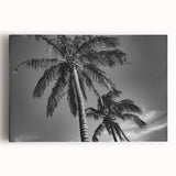 Black and white photo of Miami skyline on large stretched canvas, suitable for kitchen wall art.