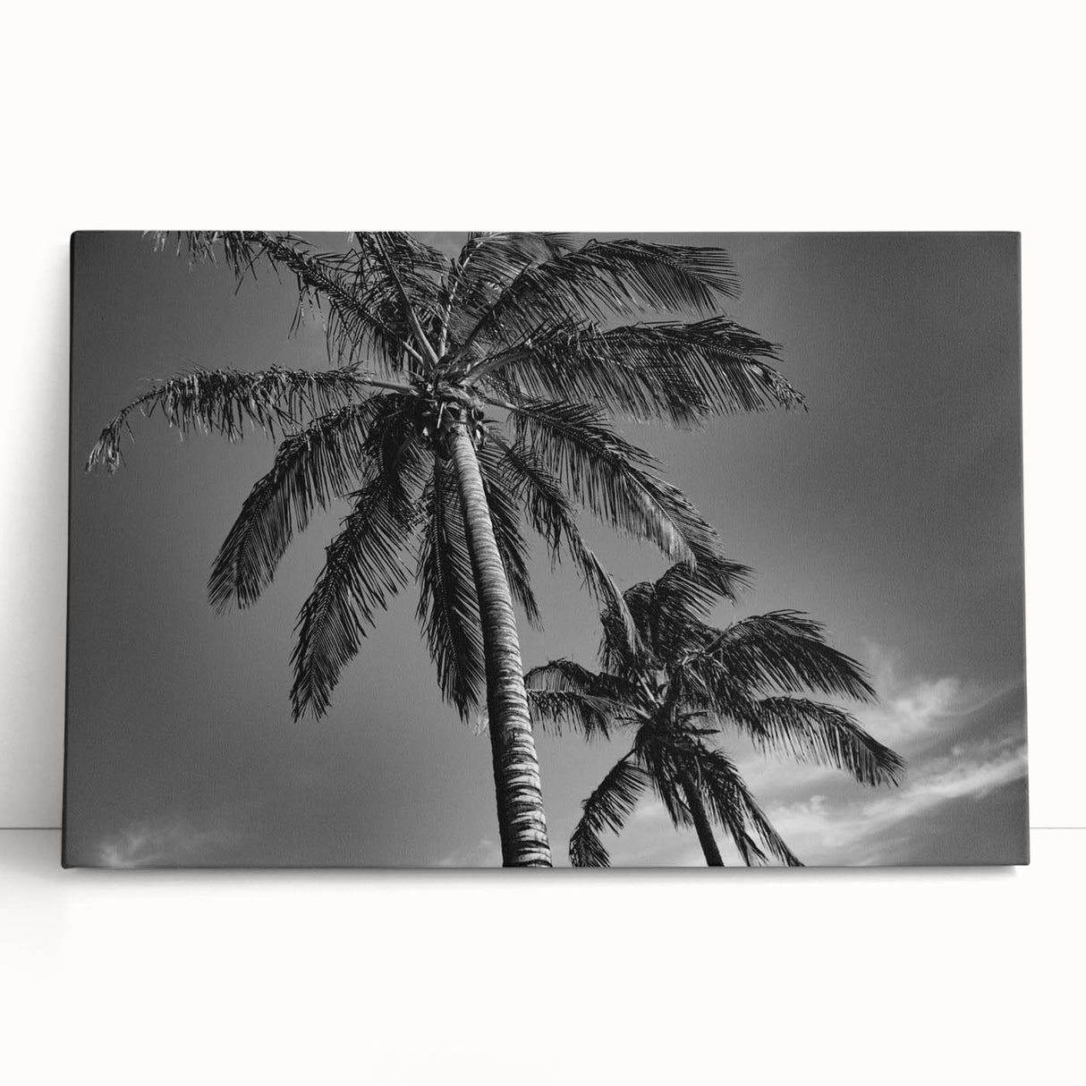 Large black and white photo of Miami skyline on stretched canvas, ideal for kitchen wall art or bedroom decor.