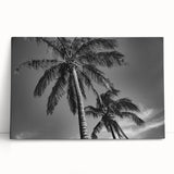 Large black and white photo of Miami skyline on stretched canvas, ideal for kitchen wall art or bedroom decor.