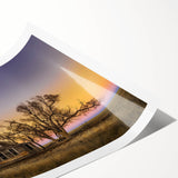 Extra large wall art featuring line art flowers in black and white, rolled print format.