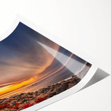 Extra large wall art featuring line art flowers in muted tones on a rolled print, ideal for large living room spaces.