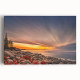 Black and white photo of Acadia National Park on large stretched canvas, ideal for kitchen wall art.