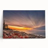 Black and white photo of Acadia National Park on large stretched canvas, ideal for kitchen wall art or bedroom.