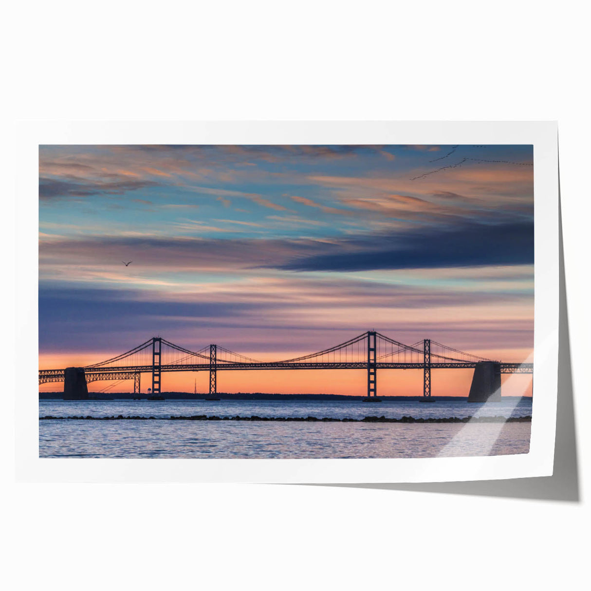 Extra large rolled print of Baltimore scenery with vibrant floral elements, ideal for dining room wall art.