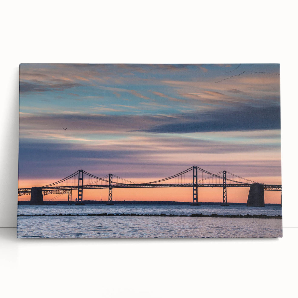 Black and white stretched canvas of the Baltimore skyline, ideal for kitchen wall art.