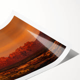 Extra large wall art featuring line art flowers in black on a white background, ideal for large living room decor.