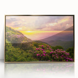 Framed acrylic print of Blue Ridge scenery in North Carolina, featuring mid-century modernist style with gold tones.