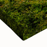 Large art of the Blue Ridge landscape in black and white on stretched canvas, suitable for bedroom wall decor.