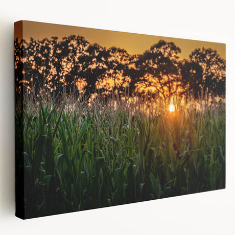 Raleigh, North Carolina cityscape on large stretched canvas, featuring muted earth tones, ideal for kitchen wall art.