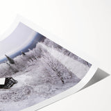 Extra large wall art featuring line art flowers in soft pastel shades on a rolled print.