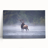 Black and white stretched canvas of Pennsylvania scenery, ideal for kitchen wall art or bedroom ambiance.