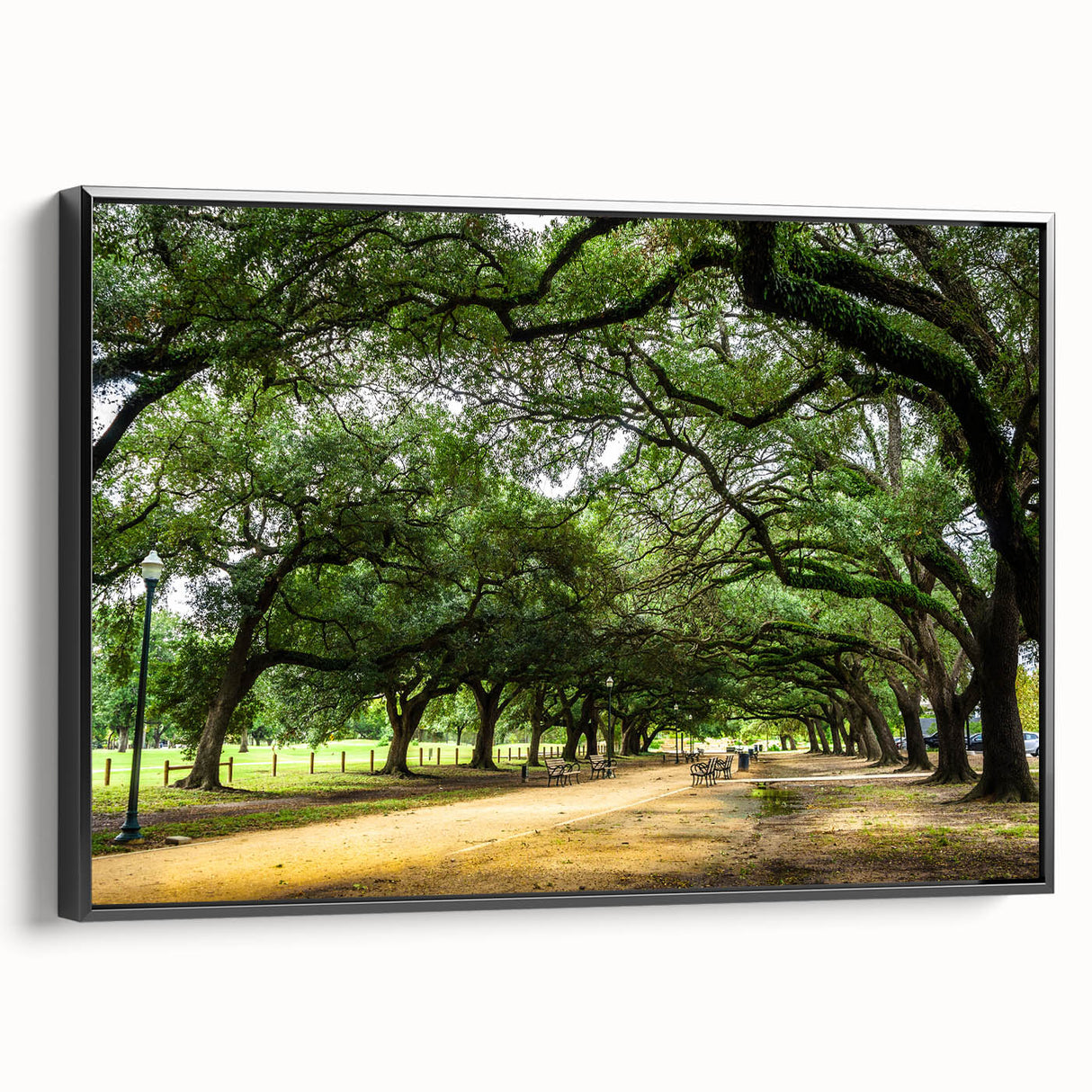 Framed canvas of a black and white vintage Houston landscape, ideal for bedroom wall art.