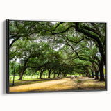 Framed canvas of a black and white vintage Houston landscape, ideal for bedroom wall art.