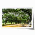 Extra large rolled print depicting vibrant floral art set against the Houston skyline, ideal for dining room wall art.