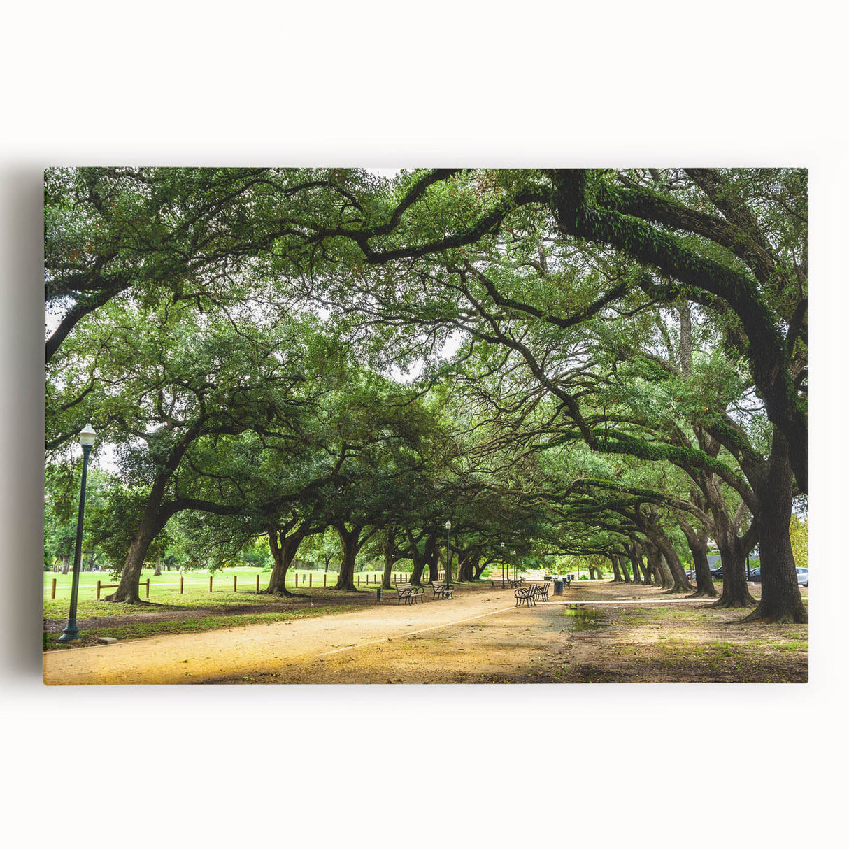 Black and white photo of Houston skyline on large stretched canvas, suitable for kitchen wall art.