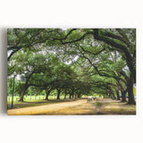 Black and white photo of Houston skyline on large stretched canvas, suitable for kitchen wall art.