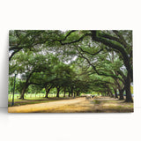 Houston skyline in black and white on a large stretched canvas, ideal for kitchen wall art or bedroom decor.