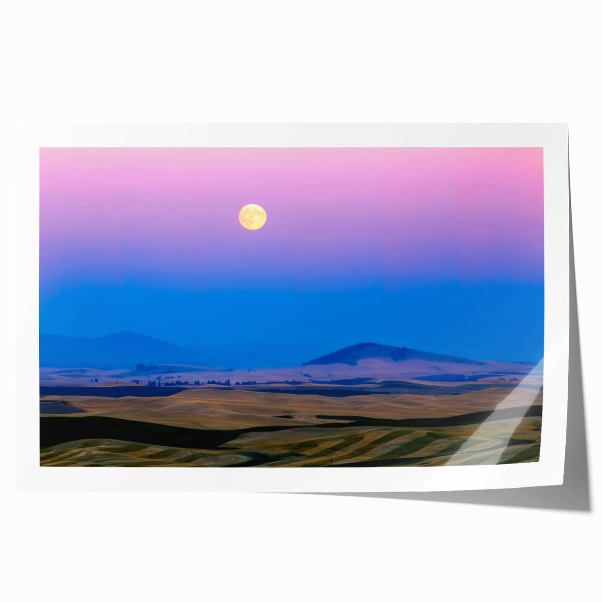 Rolling hills of Washington's Palouse region on a rolled print, featuring soft green and brown tones.