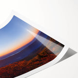 Extra large wall art featuring line art flowers in black and white, ideal for large living room wall decor.