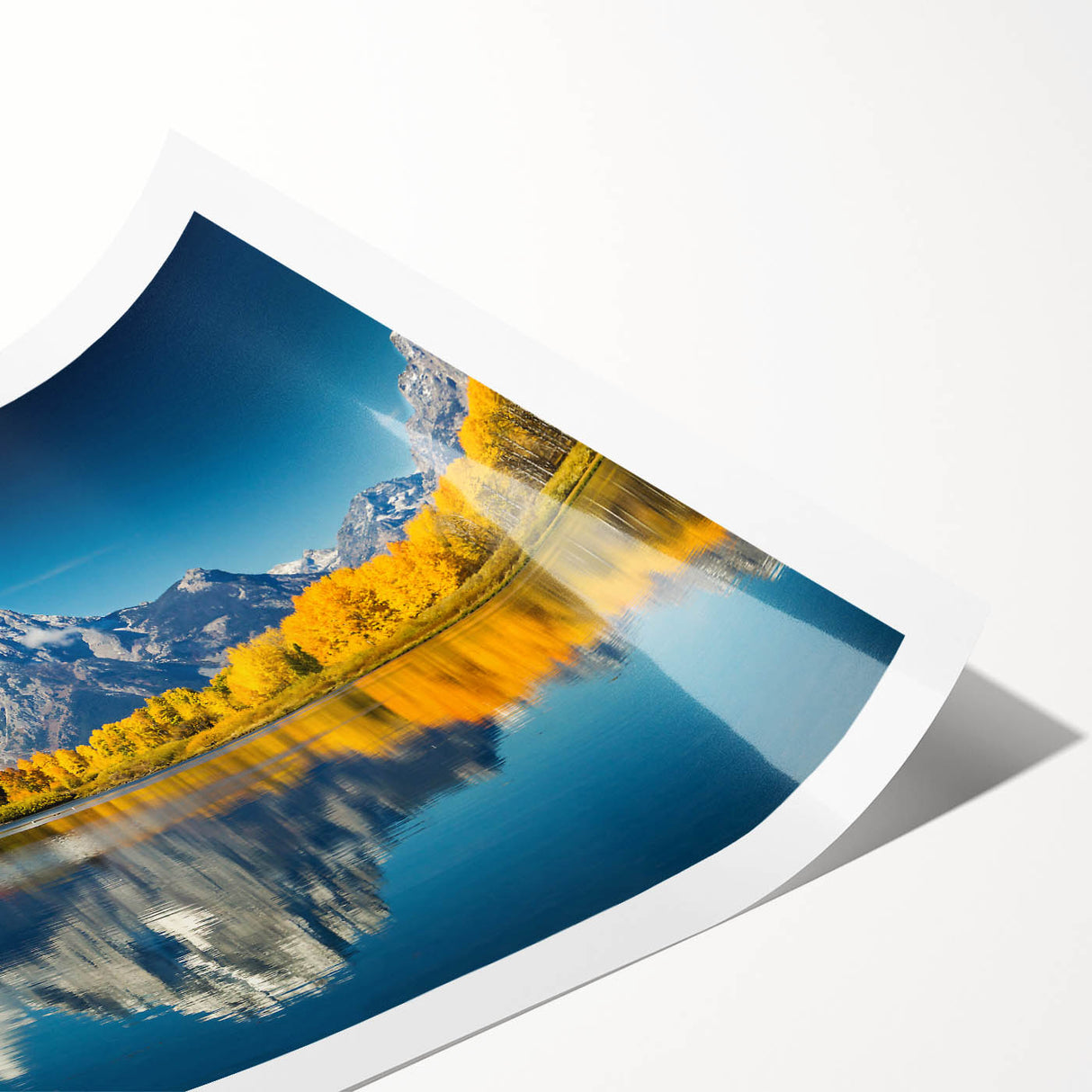 Extra large rolled print of Grand Tetons scenery with line art flowers in muted earth tones.