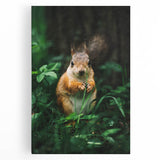 Large black and white abstract depiction of spring on stretched canvas, ideal for kitchen wall art.