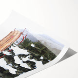 Extra large wall art featuring monochrome line art flowers on a rolled print, ideal for large living room decor.