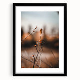 Extra large abstract art print featuring vibrant autumnal colors on textured canvas, framed in black.
