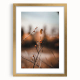 Extra large abstract art print featuring textured autumnal colors in a gold frame, ideal for living room decor.