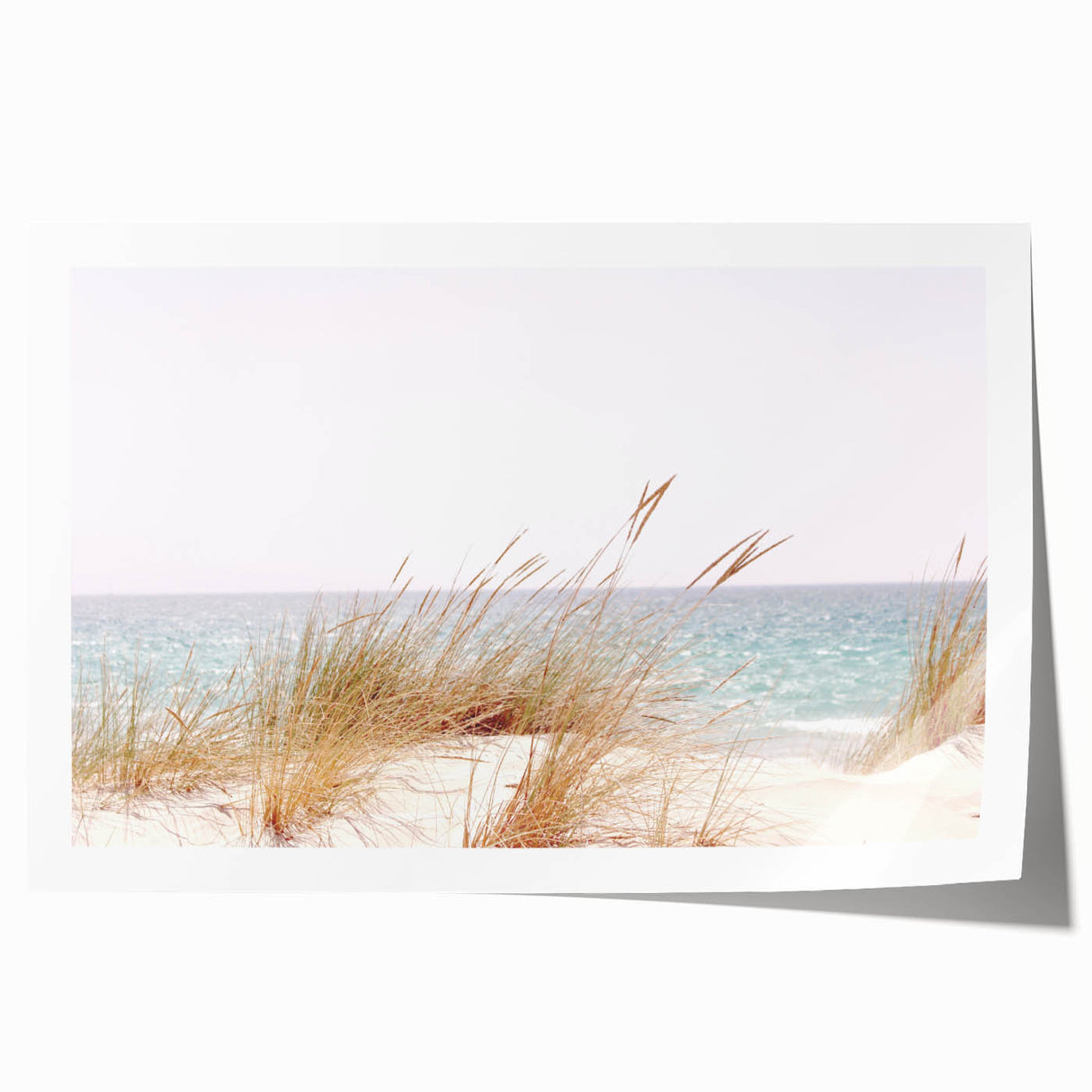 Extra large rolled print featuring a vibrant floral design on a white background, ideal for dining room wall art.