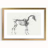 Modern Wall Art – Anatomical Art of Horse Skeleton