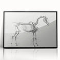 Modern Wall Art – Anatomical Art of Horse Skeleton