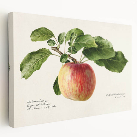 Large art featuring an array of fruits in vibrant colors on stretched canvas, ideal for kitchen wall decor.