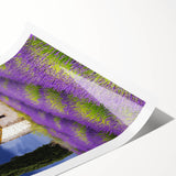 Rolled print of lush green countryside landscapes showcasing rolling hills and vibrant blue skies, elegantly packaged in a protective cardboard tube for easy transport and display. Ideal for home decor enthusiasts seeking nature-inspired wall art.