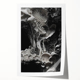 Extra large rolled print featuring close-up elements of natural flora in muted earth tones.