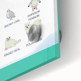 Arctic Animals Kids Educational Wall Art - Learning Print