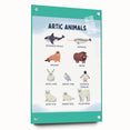 Arctic Animals Kids Educational Wall Art - Learning Print