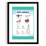 Arctic Animals Kids Educational Wall Art - Learning Print