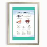 Arctic Animals Kids Educational Wall Art - Learning Print