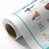 Arctic Animals Kids Educational Wall Art - Learning Print