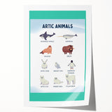 Arctic Animals Kids Educational Wall Art - Learning Print